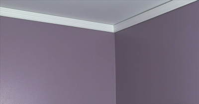 ZNR_MoldKillingPrimer_PurpleWalls_After.jpg