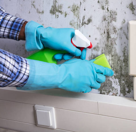 1573372841415330.png 微信截图_20191110160121.png